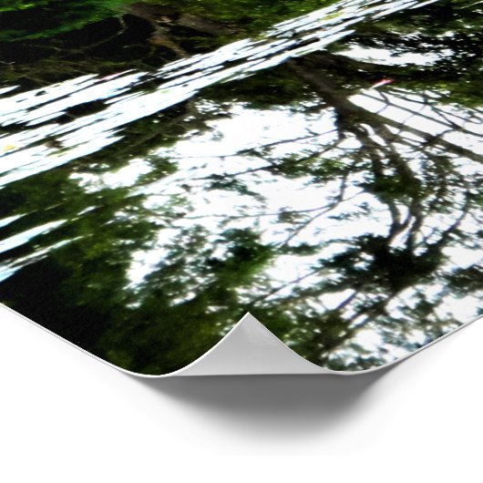 Monets Lily Pond with Willows, Giverny, Frankreich Poster (Ecke)