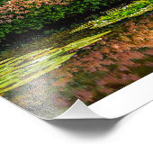 Monets Water Lilies Fotodruck (Ecke)