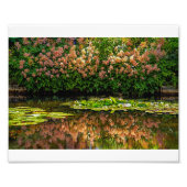 Monets Water Lilies Fotodruck (Vorne)