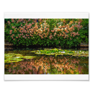 Monets Water Lilies Fotodruck