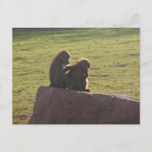 Money Friends Postkarte