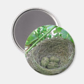 Money Nest Eggs Magnet (Vorderseite/Rückseite)