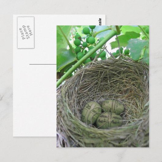 Money Nest Eggs Postkarte (Vorne/Hinten)