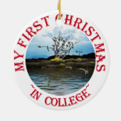 Money Tree on a Windy Day Keramik Ornament (Hinten)