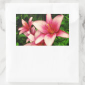 Moneymaker Lily Rechteckiger Aufkleber (Tasche)