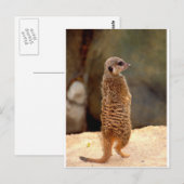 Mongolei10 Postkarte (Vorne/Hinten)
