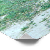 Mongolei (Przewalskii) Wildpferd Poster (Ecke)