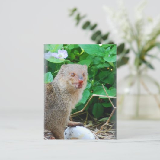 Mongolin auf Hawaii Postkarte (Stehend Vorderseite)