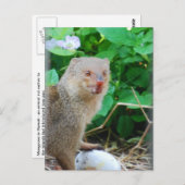 Mongolin auf Hawaii Postkarte (Vorne/Hinten)