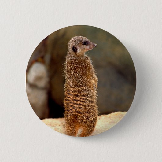 Mongoose10 Button (Vorderseite)