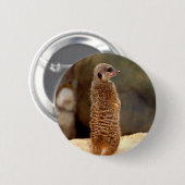 Mongoose10 Button (Vorne & Hinten)