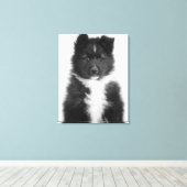 Mongrel Dog, Studio Shot Leinwanddruck (Insitu (Holzboden))