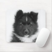 Mongrel Dog, Studio Shot Mousepad (Mit Mouse)