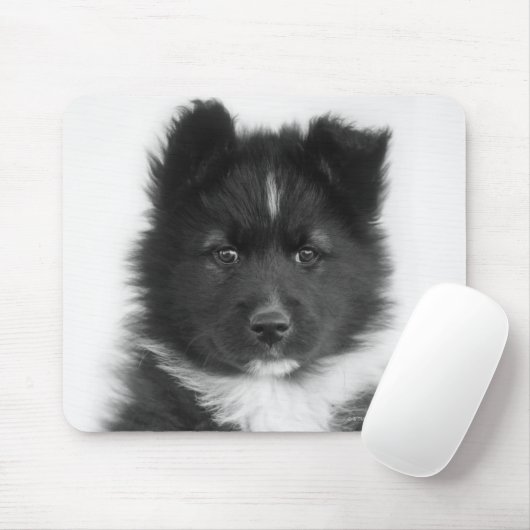 Mongrel Dog, Studio Shot Mousepad (Mit Mouse)