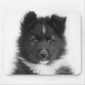 Mongrel Dog, Studio Shot Mousepad (Vorne)