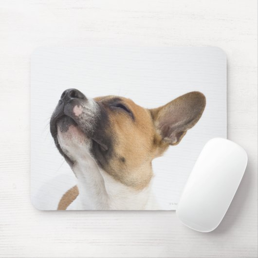 Mongrel-Welpe Mousepad (Mit Mouse)