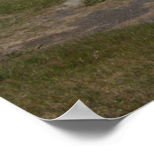 Monhegan Poster (Ecke)