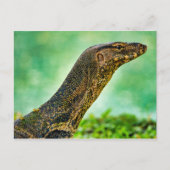 Monitor Lizard Postkarte (Vorderseite)