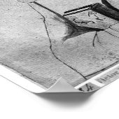 Monk, aus dem Vallardi-Album Poster (Ecke)