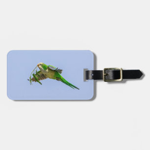 Monk Parakeet im Rio Grande Tal Gepäckanhänger