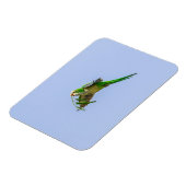 Monk Parakeet im Rio Grande Tal Magnet (Linke Seite)