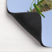 Monk Parakeet im Rio Grande Tal Mousepad (Ecke)
