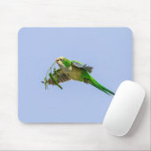 Monk Parakeet im Rio Grande Tal Mousepad (Mit Mouse)