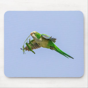 Monk Parakeet im Rio Grande Tal Mousepad