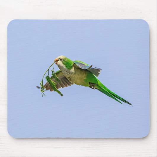 Monk Parakeet im Rio Grande Tal Mousepad (Vorne)