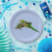 Monk Parakeet im Rio Grande Tal Pappteller (Party)