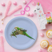 Monk Parakeet im Rio Grande Tal Pappteller (Party)