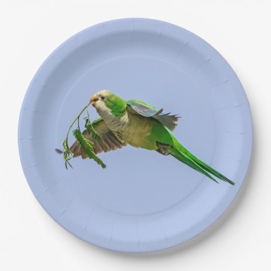Monk Parakeet im Rio Grande Tal Pappteller (Vorderseite)