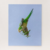 Monk Parakeet im Rio Grande Tal Puzzle (Vertikal)