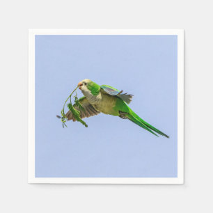 Monk Parakeet im Rio Grande Tal Serviette