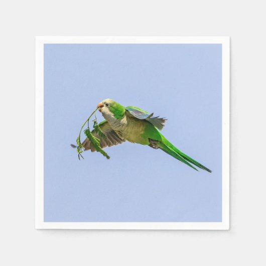 Monk Parakeet im Rio Grande Tal Serviette (Vorderseite)
