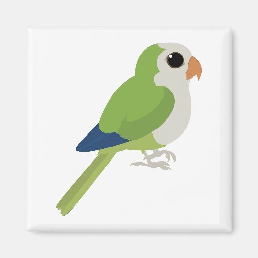 Monk Parakeet Magnet (Vorne)