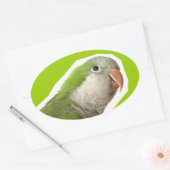 Monk Parakeet Ovaler Aufkleber (Umschlag)