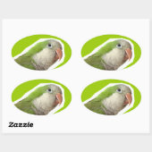 Monk Parakeet Ovaler Aufkleber (Blatt)