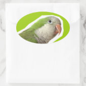 Monk Parakeet Ovaler Aufkleber (Tasche)