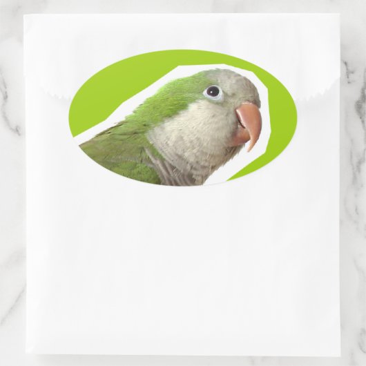 Monk Parakeet Ovaler Aufkleber (Tasche)
