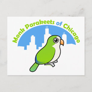 Monk Parakeets von Chicago Postkarte