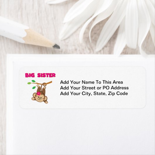 Monkey Big Sister (Insitu)