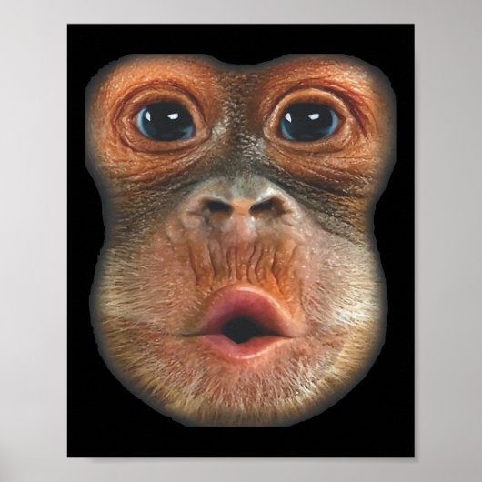Monkey Blowing Stomach Face Poster (Vorne)