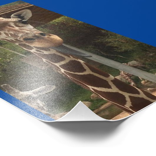 Monkey boy 4X6 Print #2 Fotodruck (Ecke)