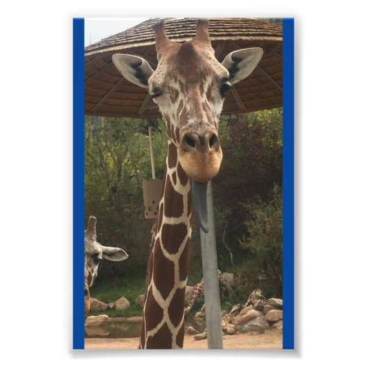 Monkey boy 4X6 Print #2 Fotodruck (Vorne)