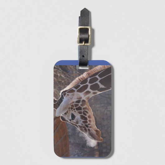 Monkey Boy Gepäckmarke #1 Gepäckanhänger (Vorderseite Vertikal)