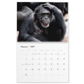 Monkey Business Calendar Kalender (Feb 2027)