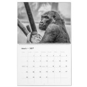 Monkey Business Calendar Kalender (Mär 2027)