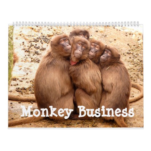 Monkey Business Calendar Kalender (Titelbild)