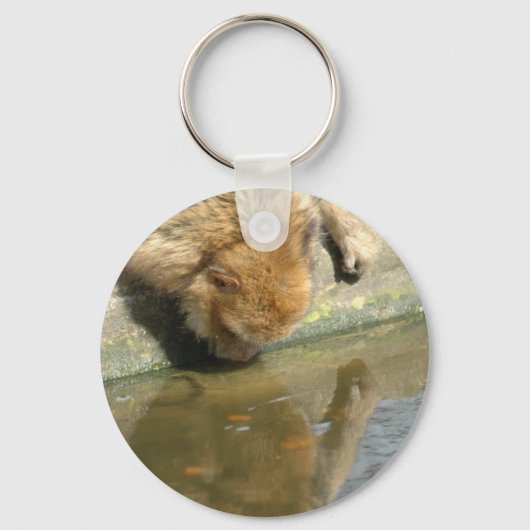 Monkey business schlüsselanhänger (Vorderseite)